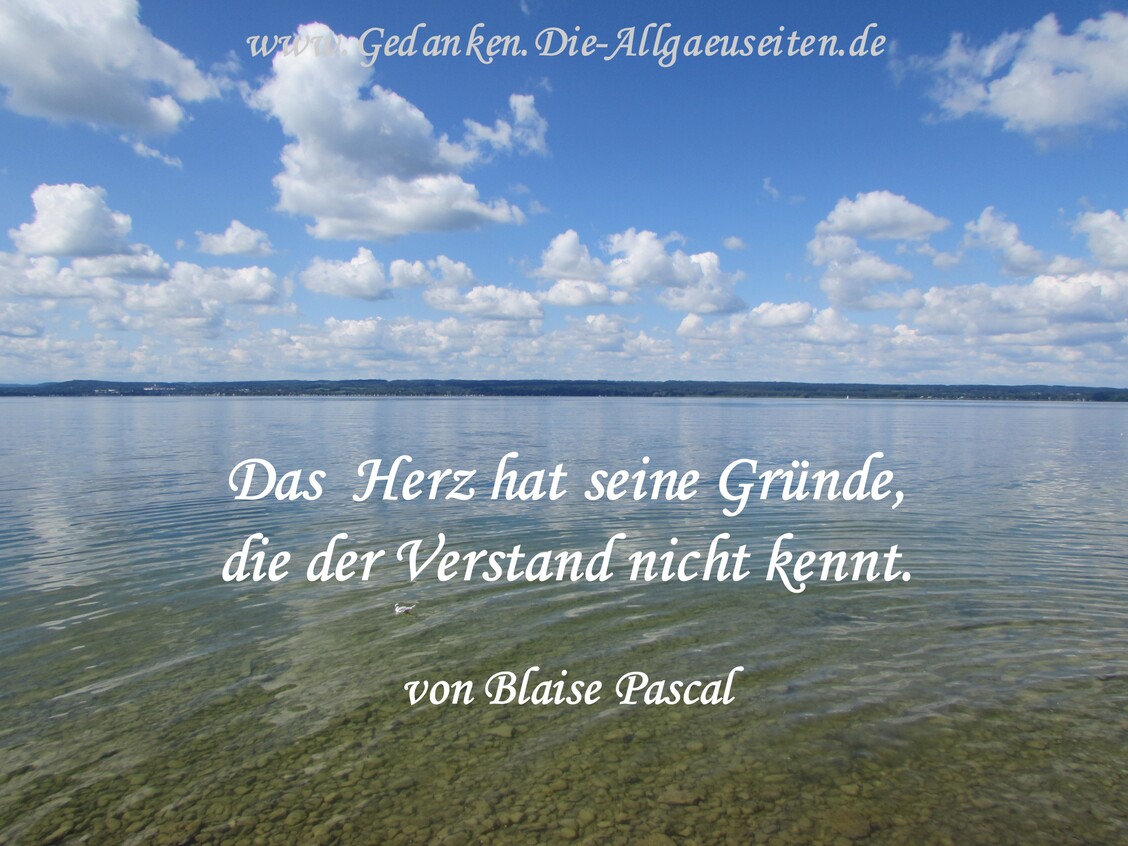 Das Herz hat seine Gründe