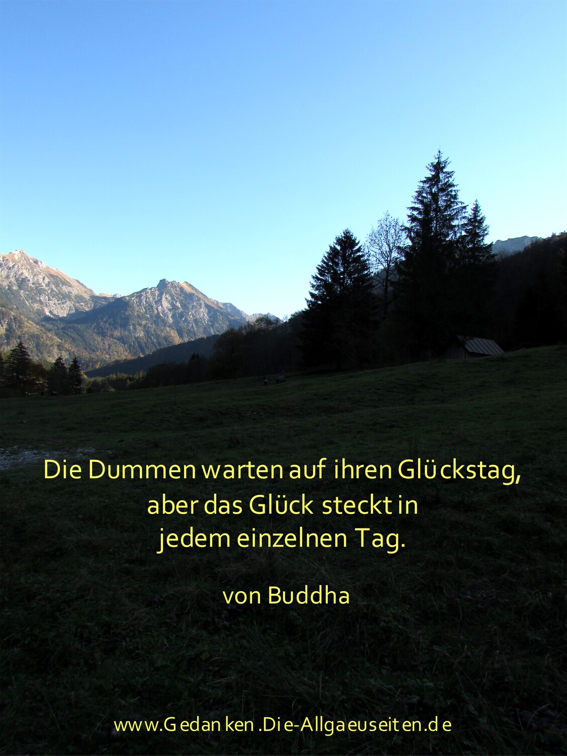 Die Dummen warten auf ihren Glückstag