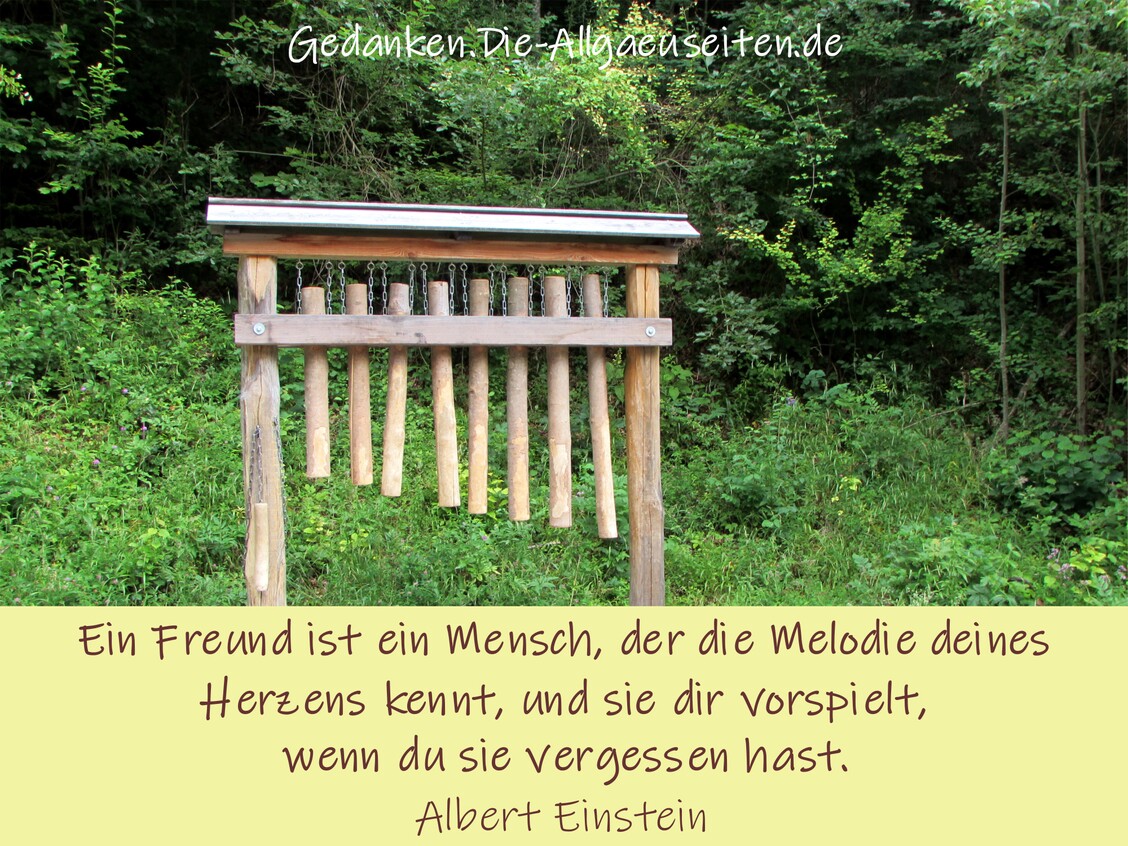Ein Freund ist ein Mensch ...