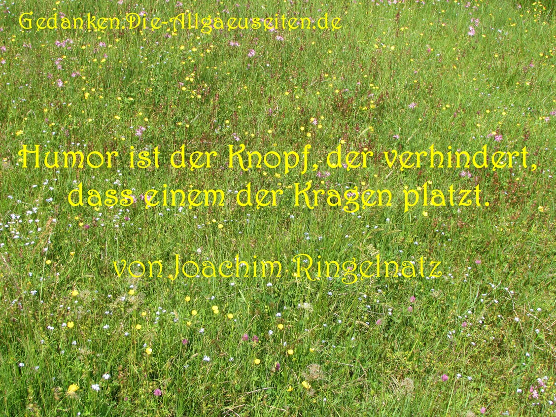 Humor ist der Knopf