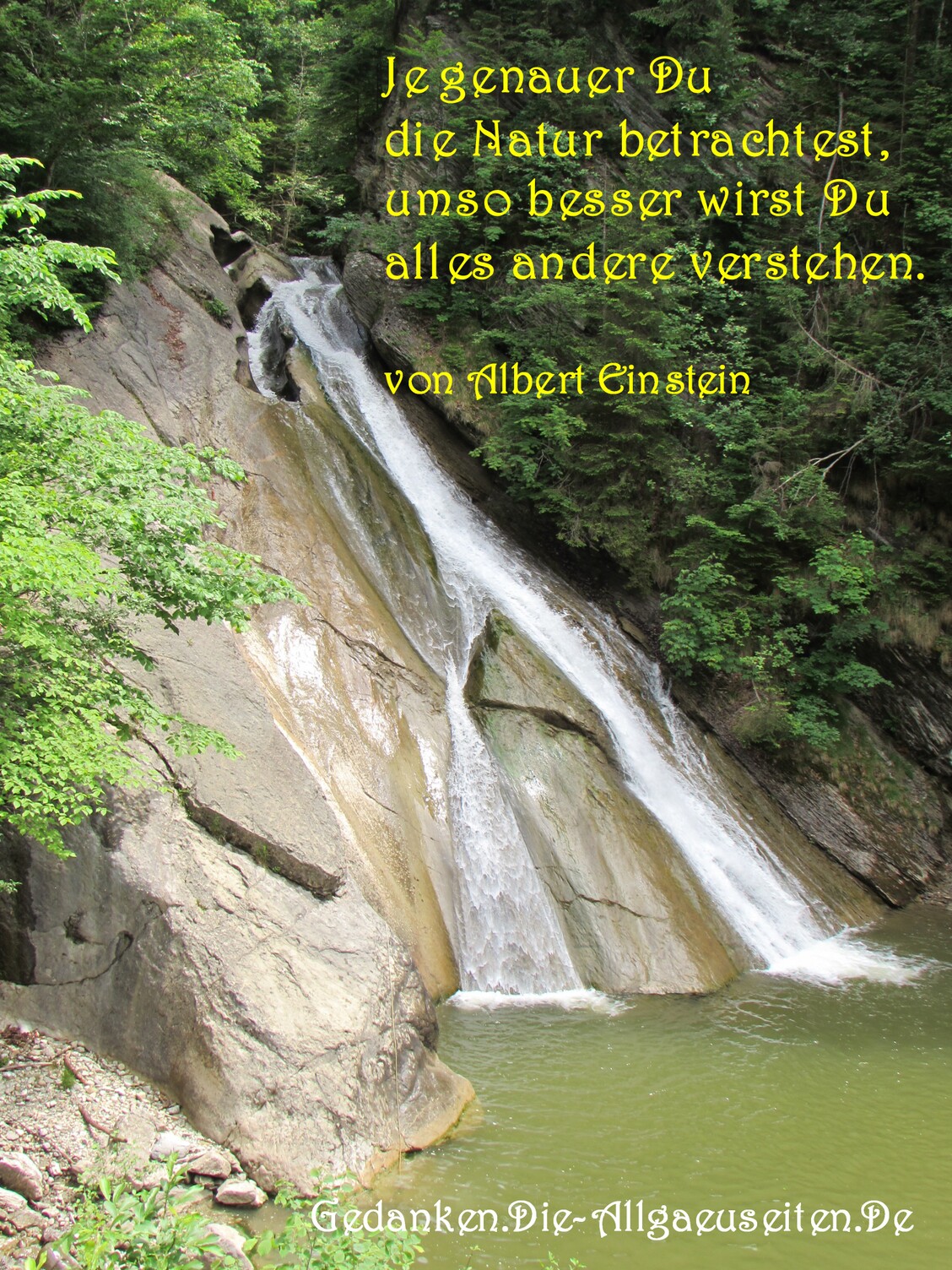 Je genauer Du die Natur betrachtest