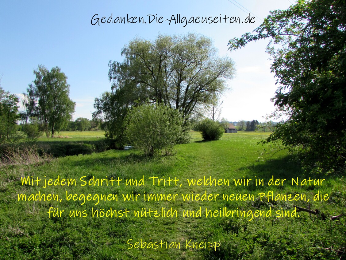 Mit jedem Schritt und Tritt ...