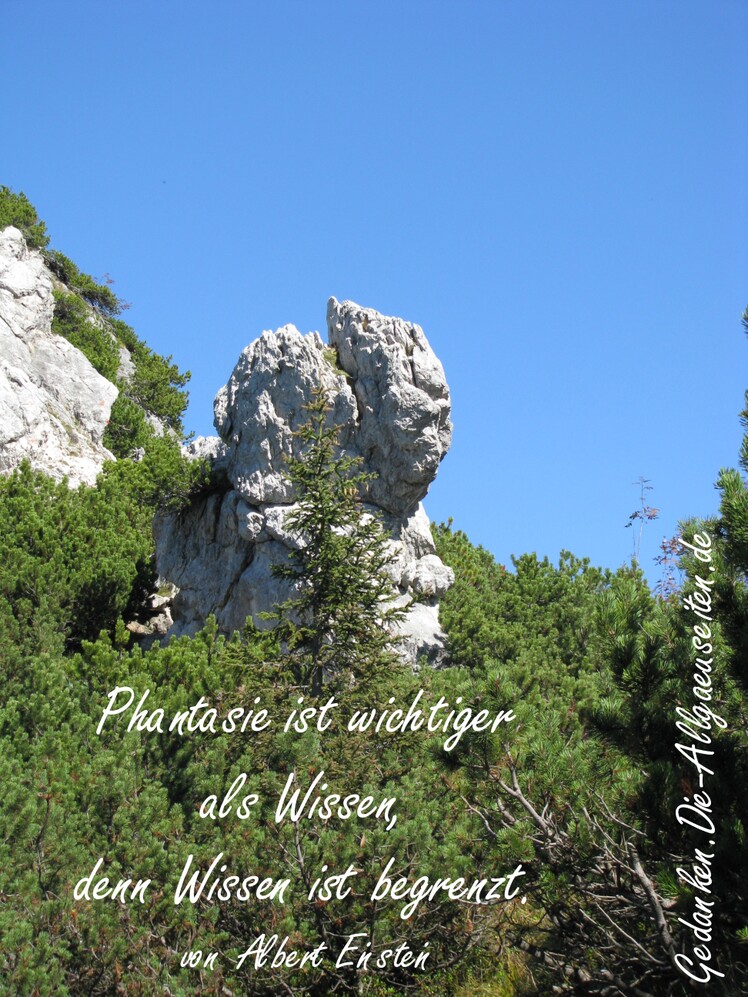 Phantasie ist wichtiger als Wissen