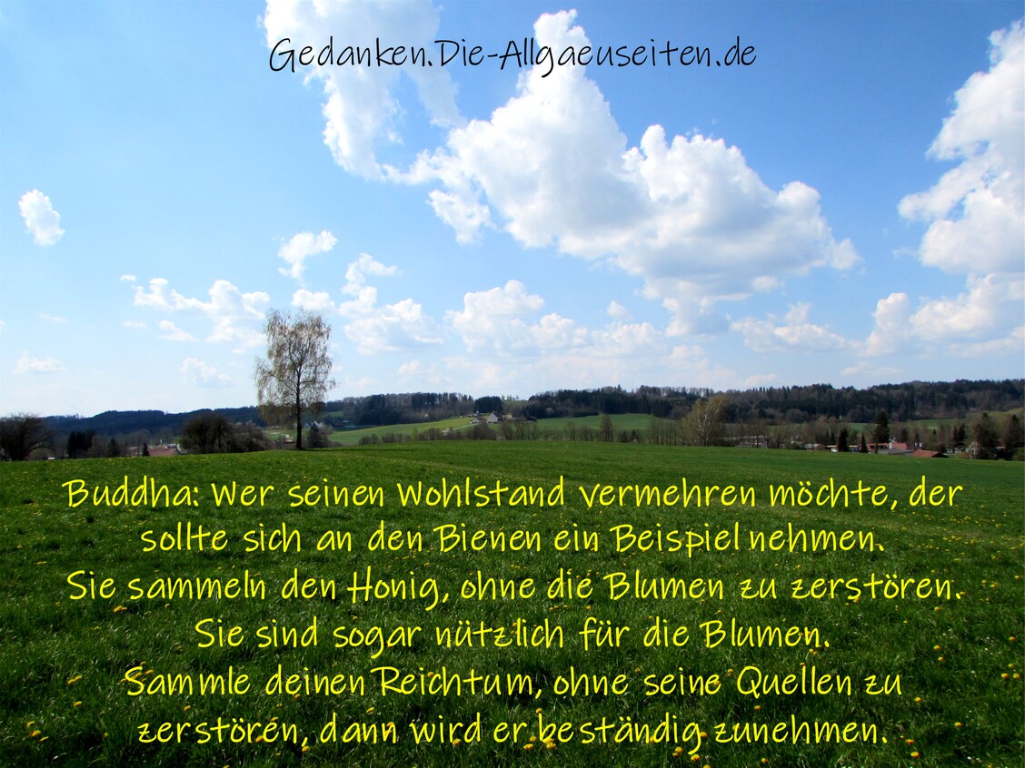 Wer seinen Wohlstand vermehren möchte ...