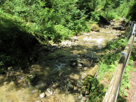 Wanderung zum Niedersonthofener Wasserfall