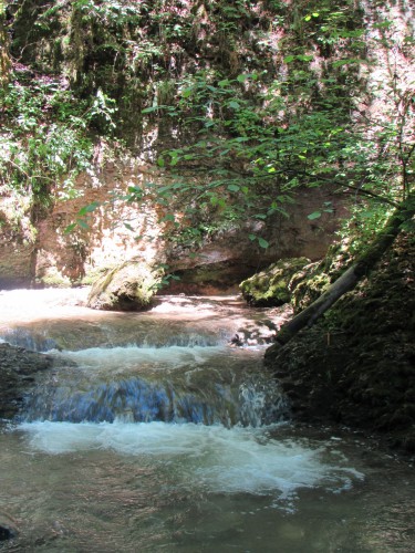 Wanderung zum Niedersonthofener Wasserfall