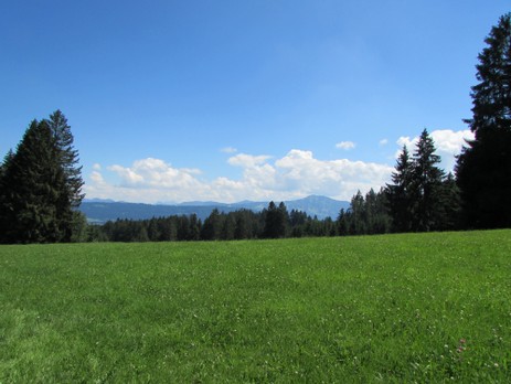 Wanderung zum Niedersonthofener Wasserfall