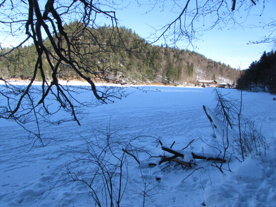 Der Alatsee im Winter