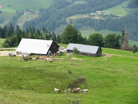 Alpe in den Oberallgäuer Bergen
