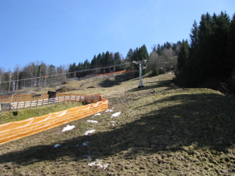 Alpsee Bergwelt