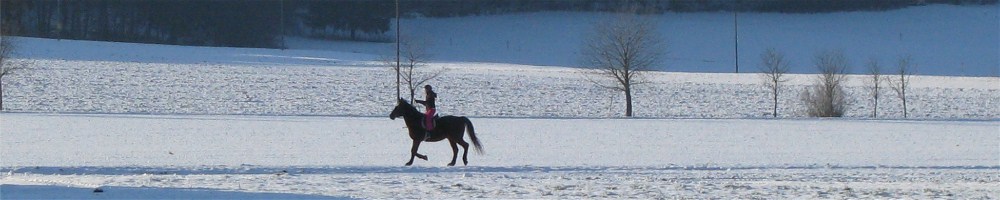 Reiten im Allgäu