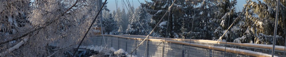 Baumwipfelpfade im Allgäu