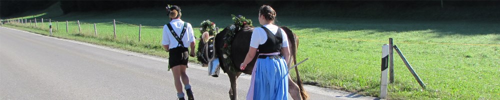 Viehscheid im Allgäu