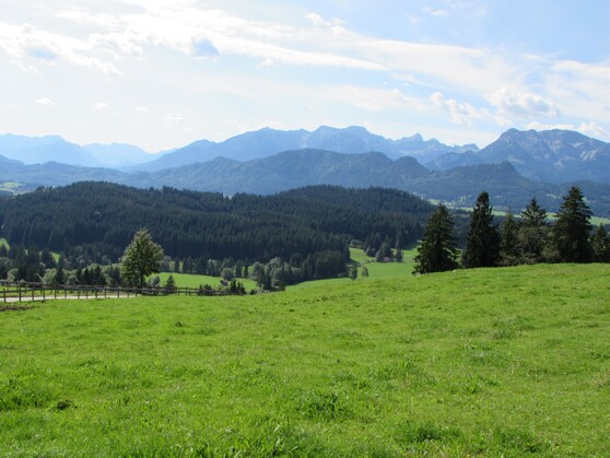 Fotoalben - Sommer im Allgäu