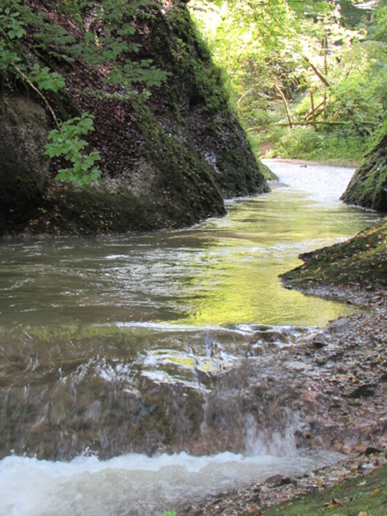 Der Eistobel im Westallgäu