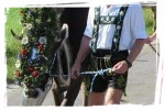 Allgäuer Feste