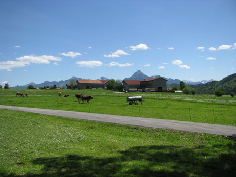 Frühling im Ostallgäu