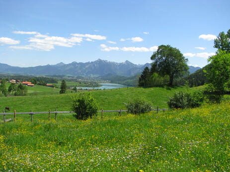 Frühling am Weißensee