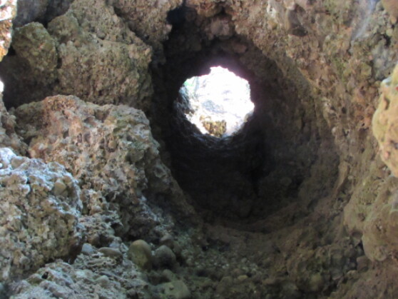 Die Geologischen Orgeln im Unterallgäu