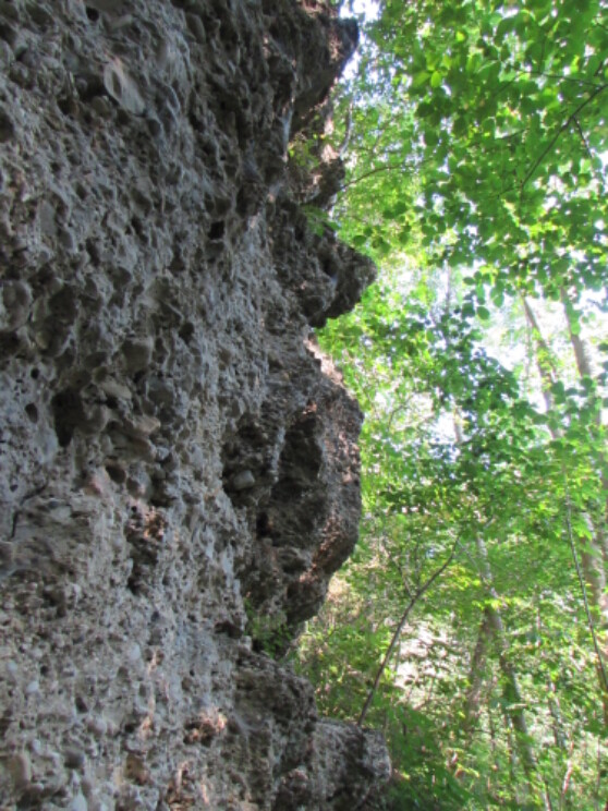 Die Geologischen Orgeln im Unterallgäu
