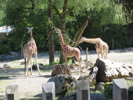 Im Tierpark Hellabrunn