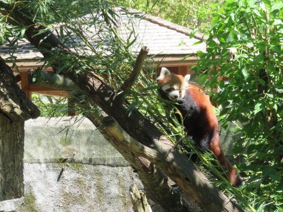 Im Tierpark Hellabrunn