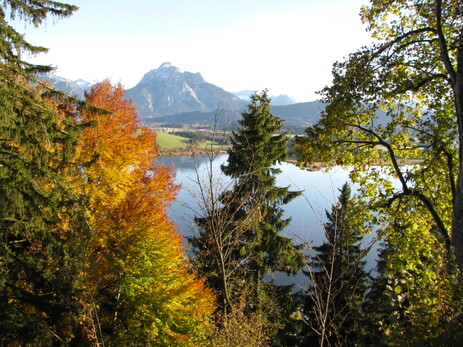 Herbst am Hopfensee