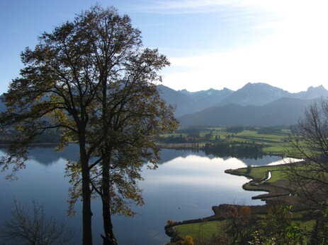 Herbst am Hopfensee