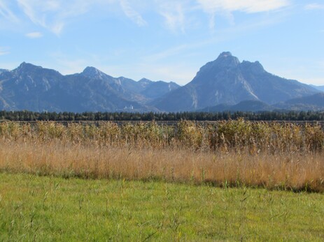 Blick über den Hopfensee auf die Berge