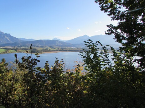 Blick über den Hopfensee