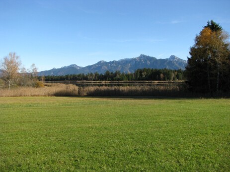 Das Ufer des Hopfensees