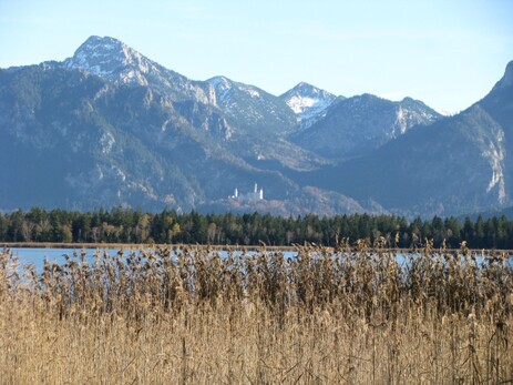 Blick über den See auf das Schloss Neuschwanstein