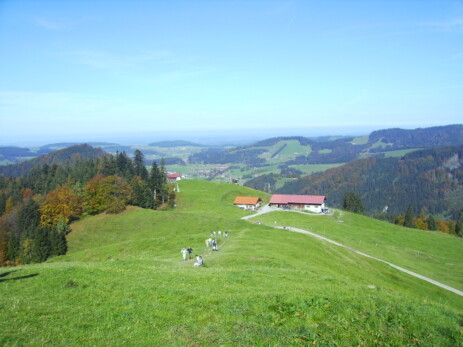 Hündle
