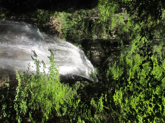 Der Niedersonthofener Wasserfall