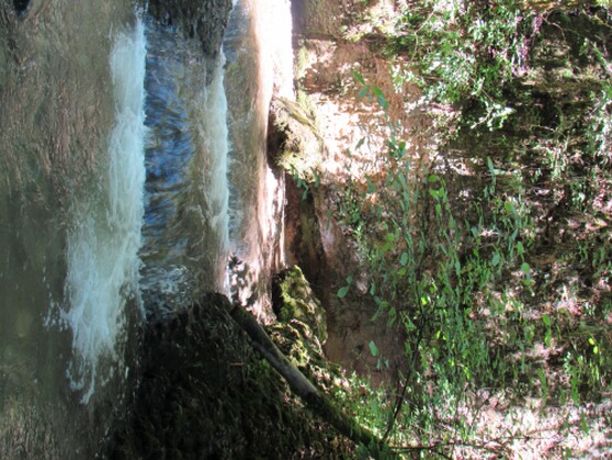 Der Niedersonthofener Wasserfall