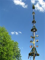Maibaum