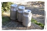 Lebensmittel aus dem Allgäu
