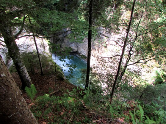 Im Ostertal-Tobel im Oberallgäu
