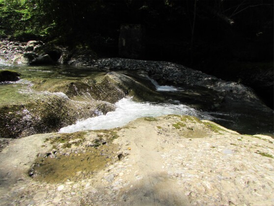 Im Ostertal-Tobel im Oberallgäu