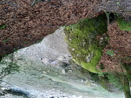 Im Ostertal-Tobel
