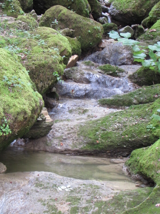 Der Schießbachtobel im Oberallgäu