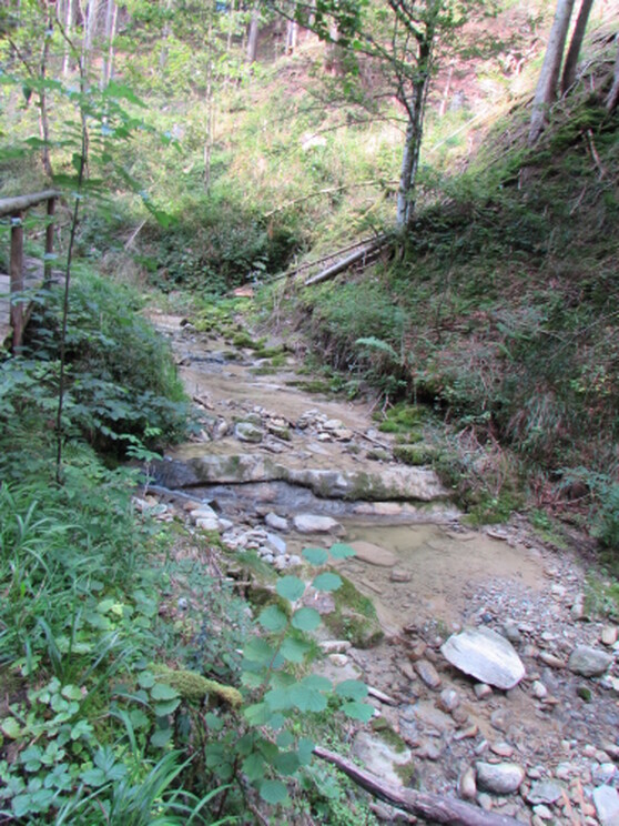 Der Schießbachtobel im Oberallgäu