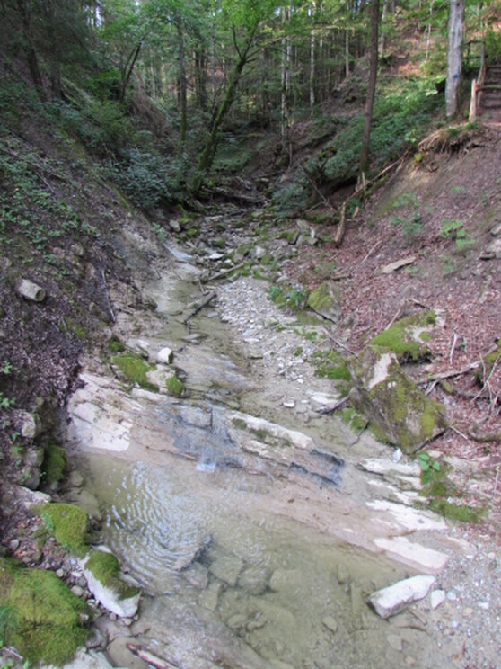 Der Schießbachtobel im Oberallgäu