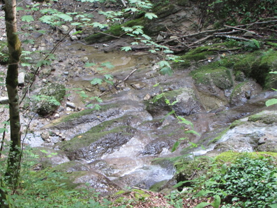 Der Schießbachtobel im Oberallgäu