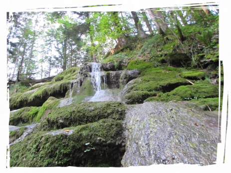 Allgäuer Tobel