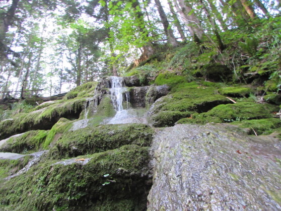 Der Schießbachtobel im Oberallgäu