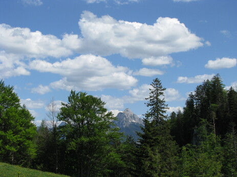 Sommer im Allgäu