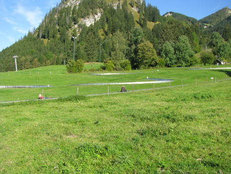 Sommerrodelbahn am Tegelberg