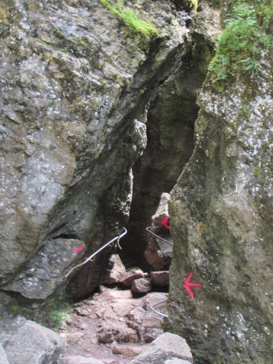 Die Starzlachklamm im Oberallgäu