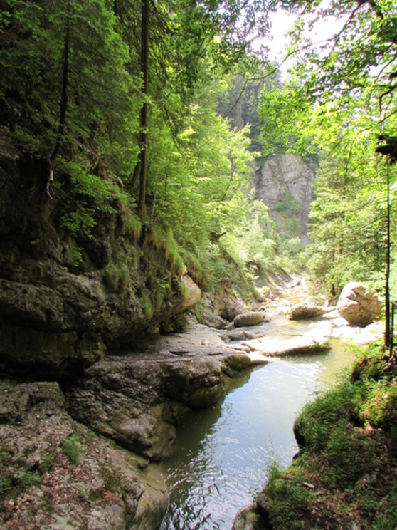 Die Starzlachklamm im Oberallgäu